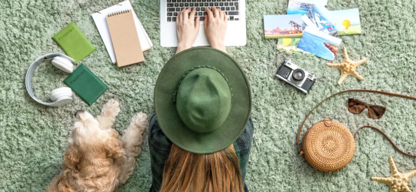 Кейс (Рост трафика с 300 до 11 500 визитов, увеличение конверсии до 2,4% и органики до 68%)